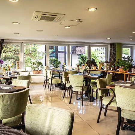 布拉迪斯拉发高级商务酒店 酒店
