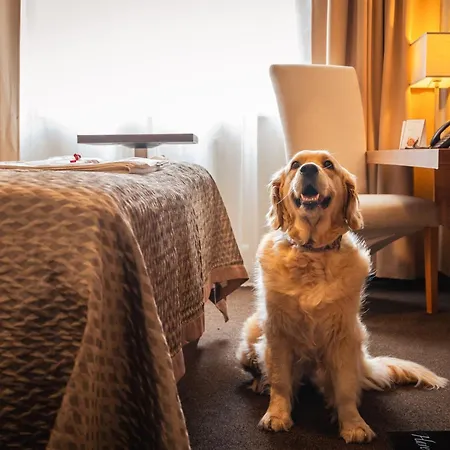 Hotel Premium Business 4*