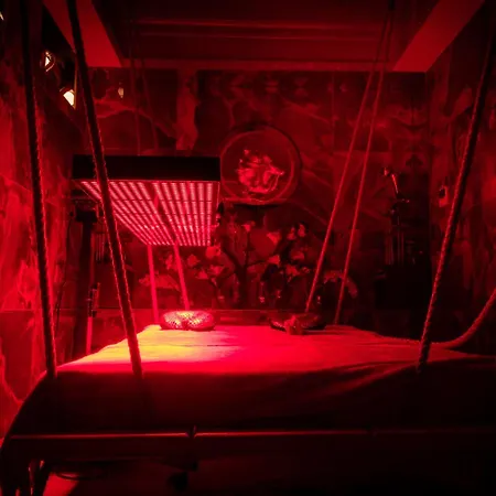 布拉迪斯拉发高级商务酒店