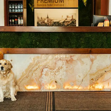 Hotel Premium Business 4*