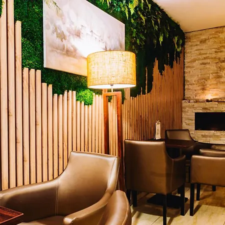 布拉迪斯拉发高级商务酒店 4*