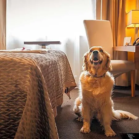 Premium Business Hotel 4*