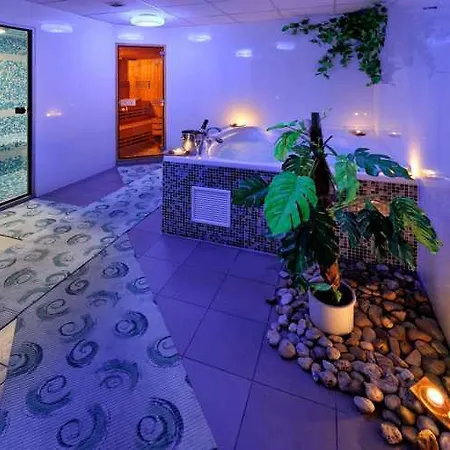 Premium Business 4* Pressburg